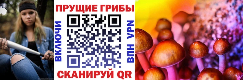 гидра ТОР  Советская Гавань  Галлюциногенные грибы Cubensis 