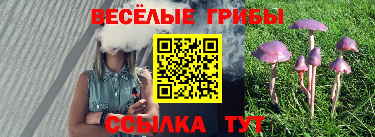 Псилоцибиновые грибы мухоморы  Псилоцибиновые грибы GOLDEN TEACHER  где найти наркотики  Вход с VPN  Советская Гавань 